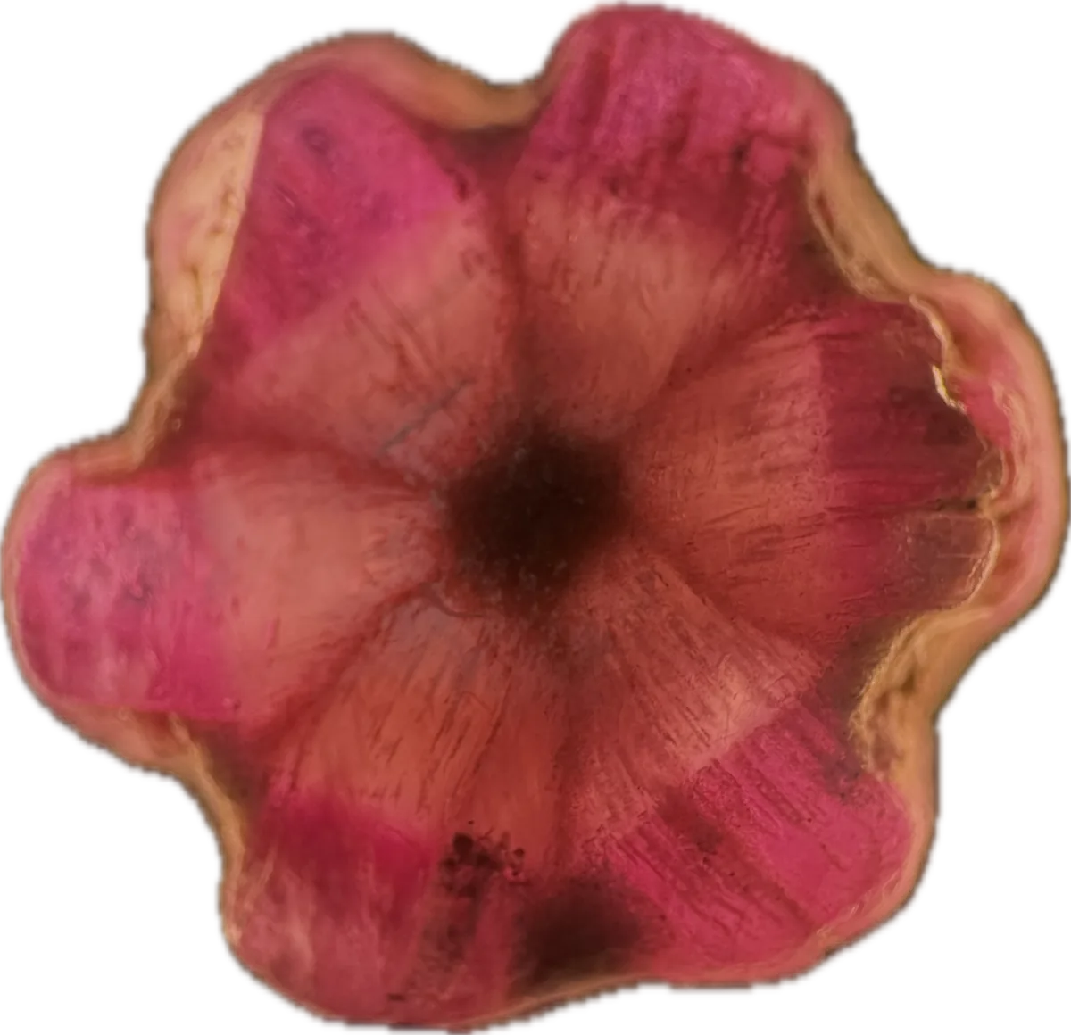 Trapiche ruby specimen, reverse face